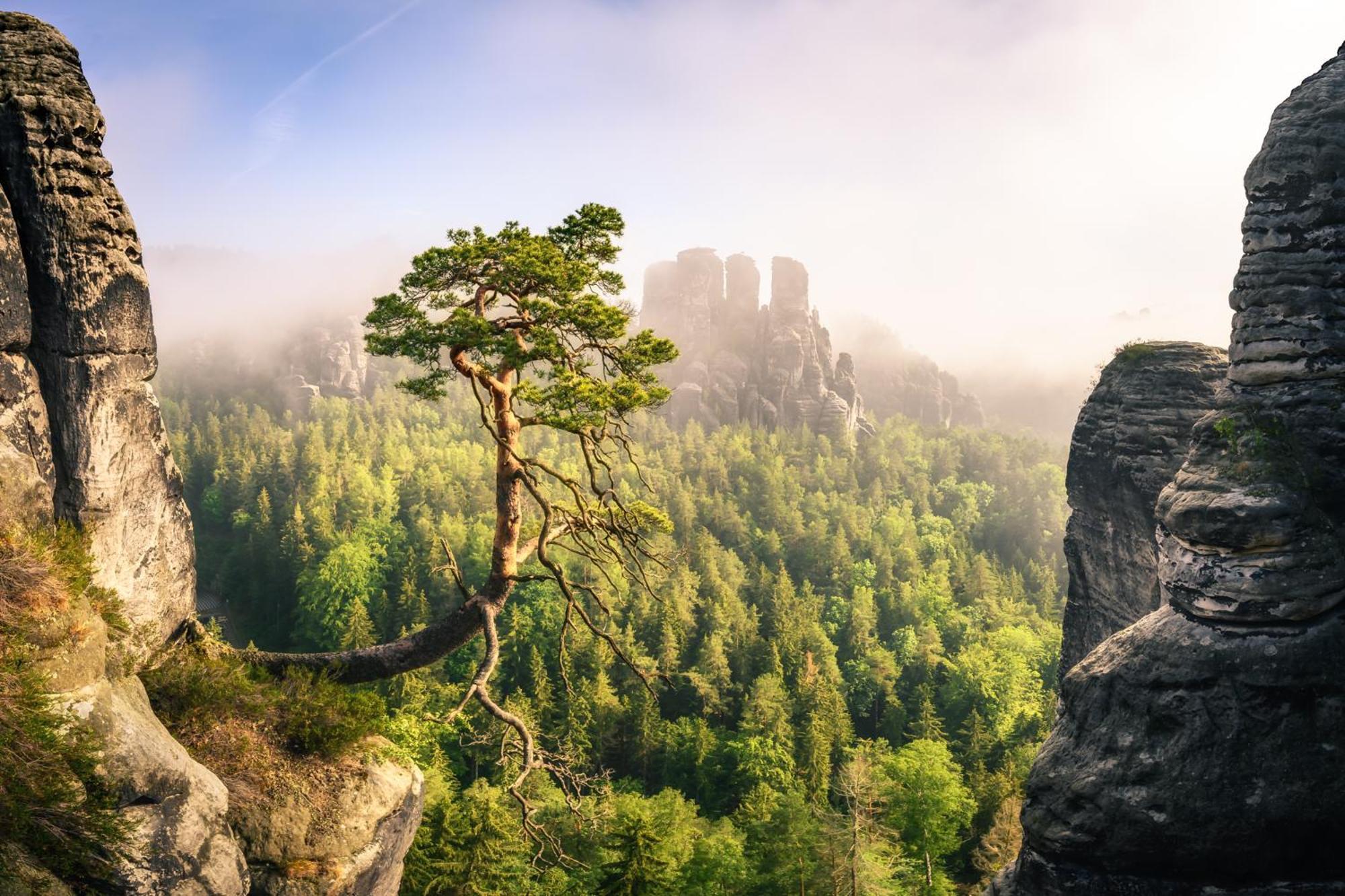 Апартаменты Ferienquartier- Forsthaus Bad Gottleuba-Berggiesshuebel Экстерьер фото